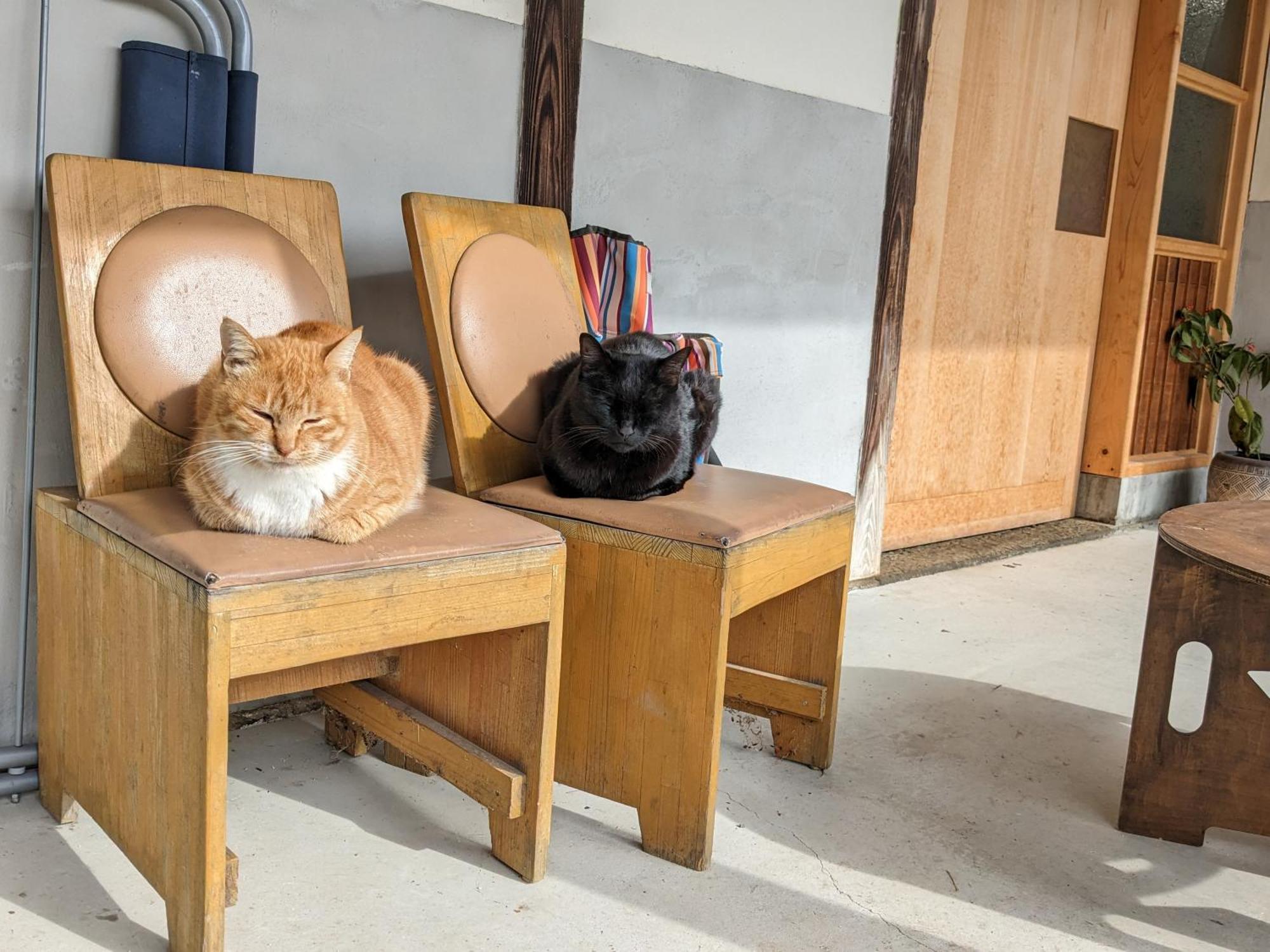 猫と図書館のある宿 草地家 Kusachike Minamiawaji Εξωτερικό φωτογραφία